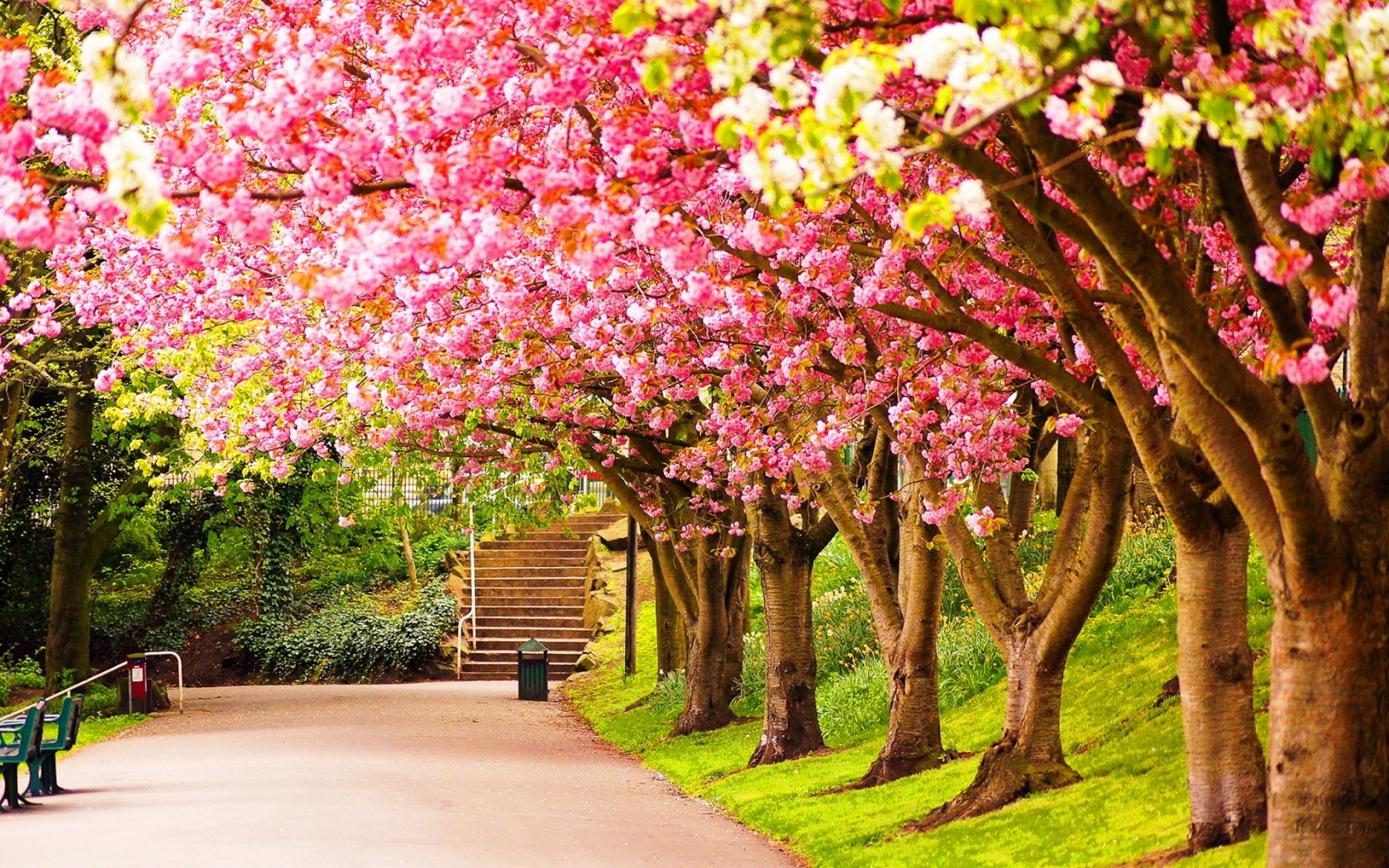 Detail Background Desktop Hd Nomer 23