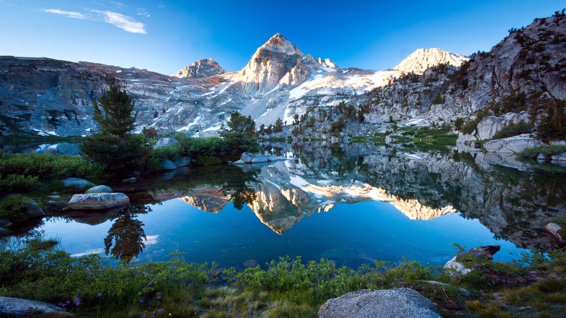 Detail Background Desktop Hd Nomer 37
