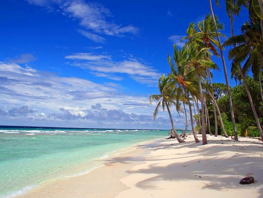 Detail Background Di Pantai Nomer 25