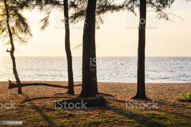 Detail Background Di Pantai Nomer 41