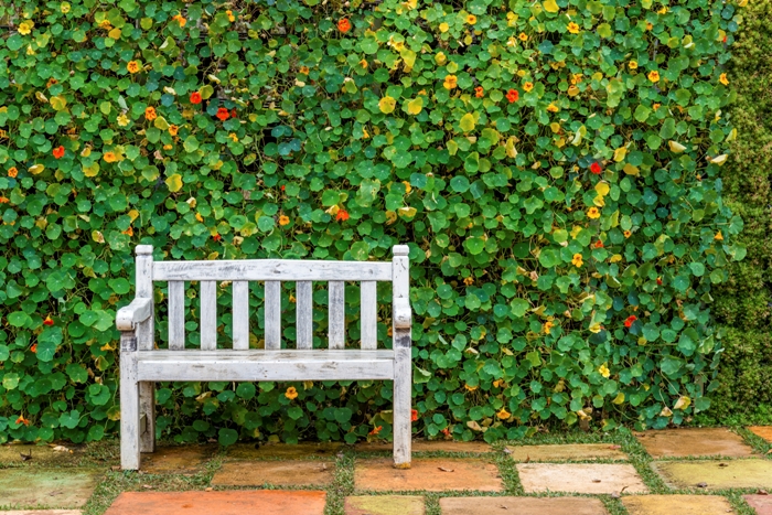 Detail Background Di Taman Nomer 14