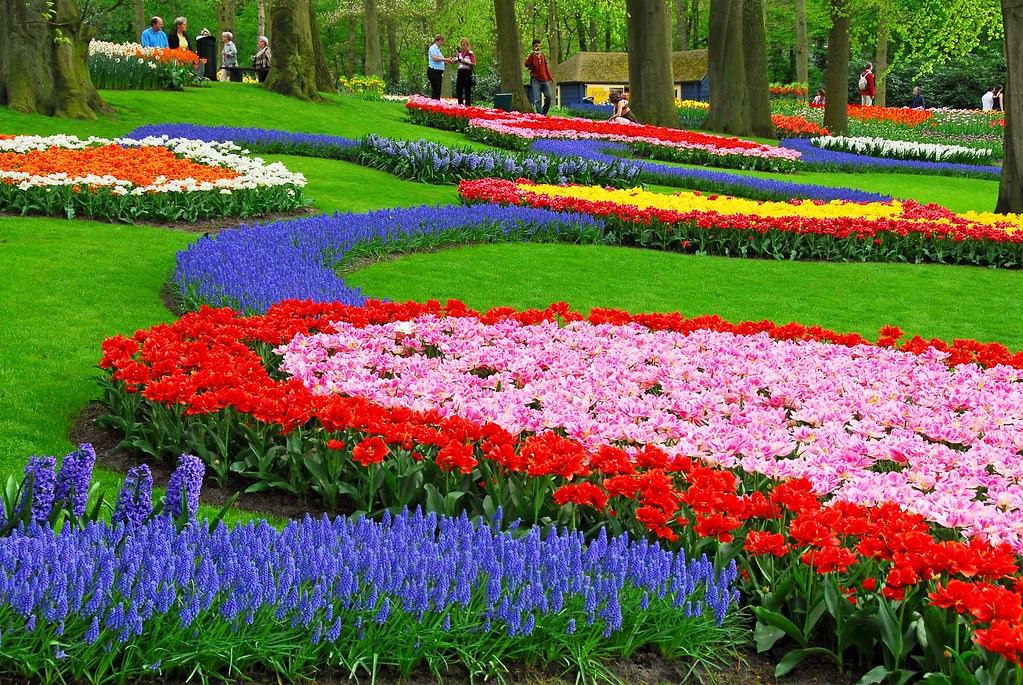 Detail Background Di Taman Nomer 18