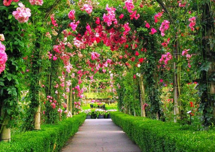 Detail Background Di Taman Nomer 22