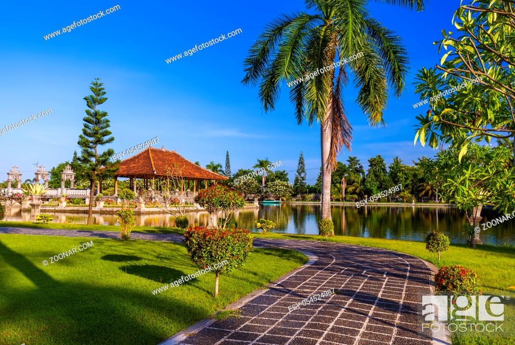 Detail Background Di Taman Nomer 35