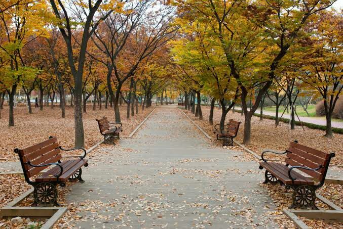 Detail Background Di Taman Nomer 48