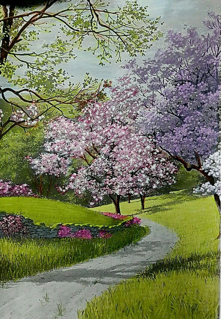 Detail Background Di Taman Nomer 49