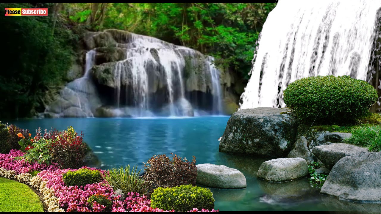Detail Background Di Taman Nomer 53