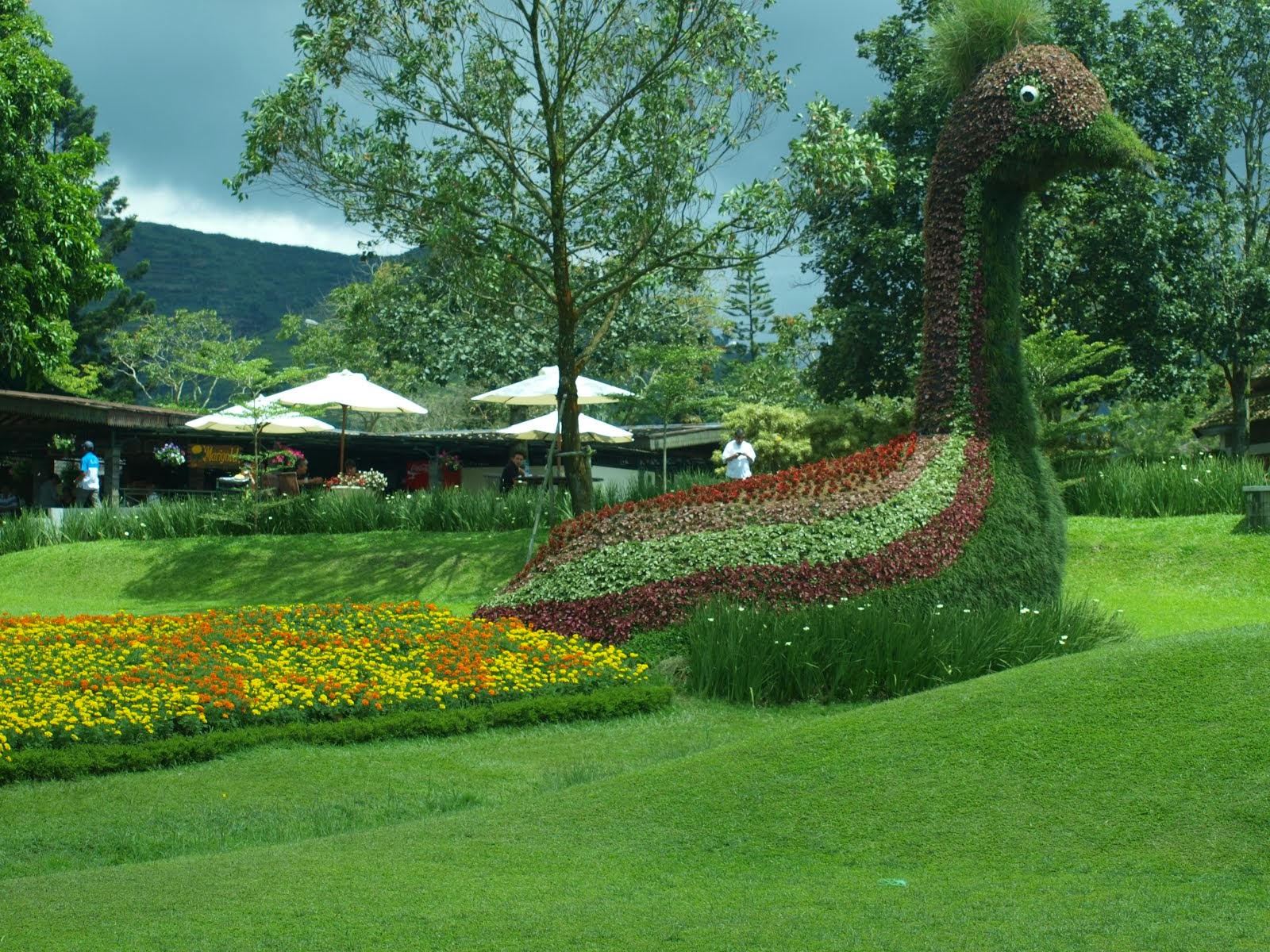 Detail Background Di Taman Nomer 56