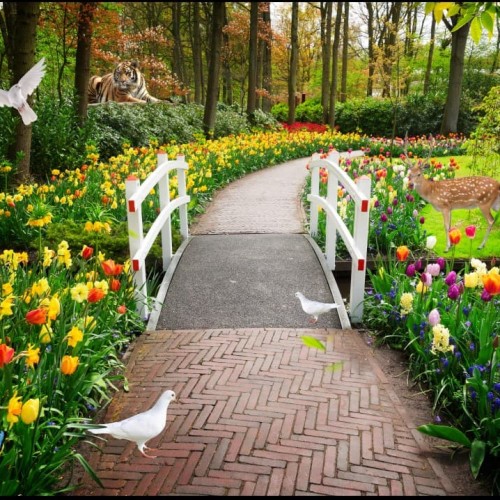 Detail Background Di Taman Nomer 10