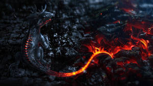 Detail Background Dragon Nomer 14