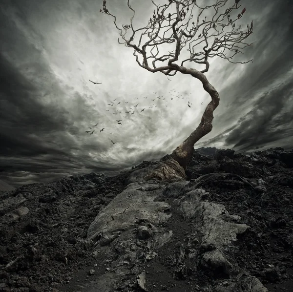 Detail Background Dramatis Nomer 20