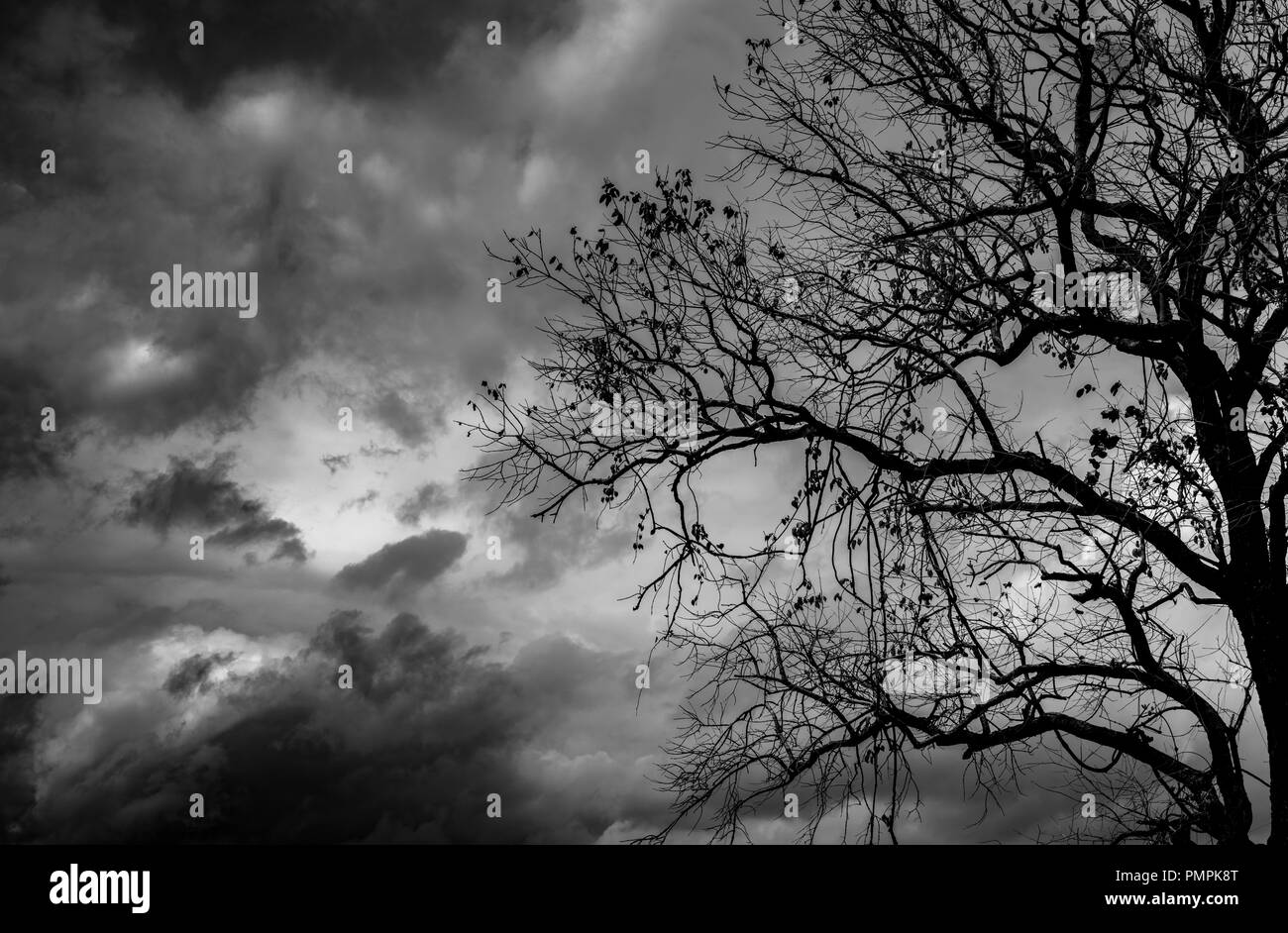 Detail Background Dramatis Nomer 31