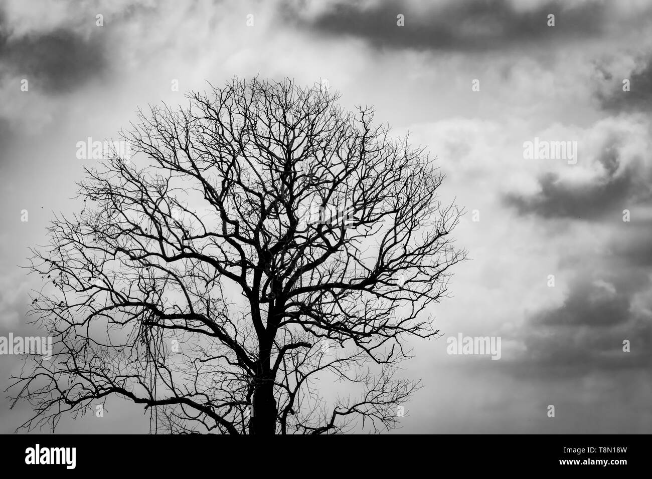 Detail Background Dramatis Nomer 49