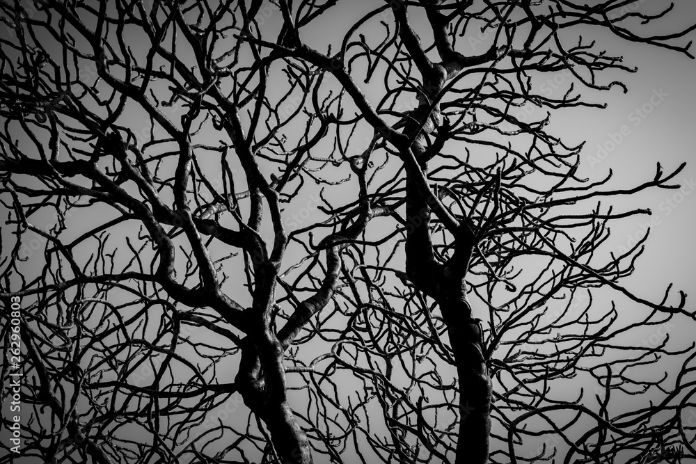 Detail Background Dramatis Nomer 50