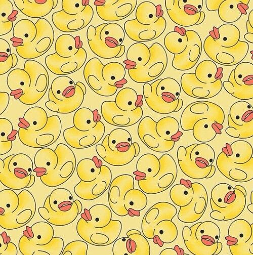 Detail Background Duck Wallpaper Nomer 16