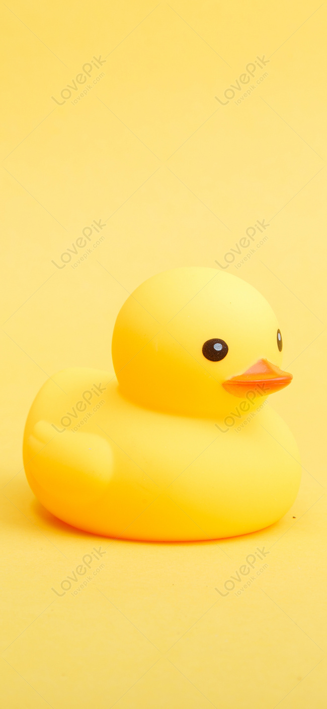 Detail Background Duck Wallpaper Nomer 51