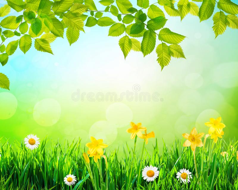 Detail Background Duka Cita Nomer 41