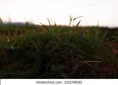 Detail Background Embun Nomer 40