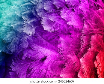 Detail Background Feather Nomer 15