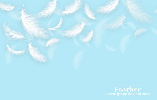 Detail Background Feather Nomer 28