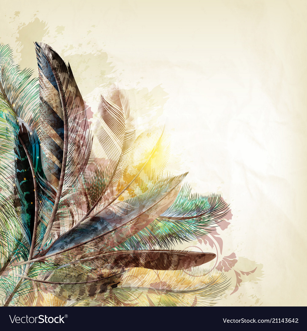 Detail Background Feather Nomer 4