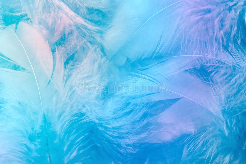 Detail Background Feather Nomer 5