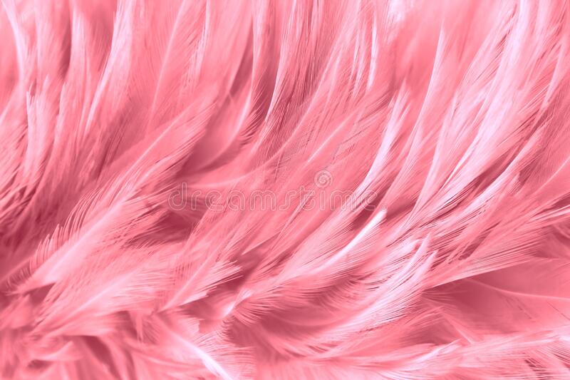 Detail Background Feather Nomer 45