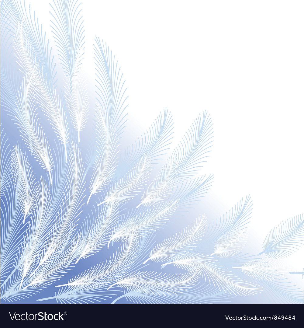 Detail Background Feather Nomer 6