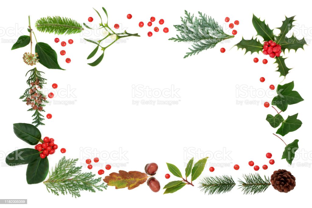 Detail Background Flora Nomer 12