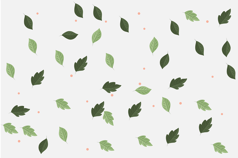 Detail Background Flora Nomer 20