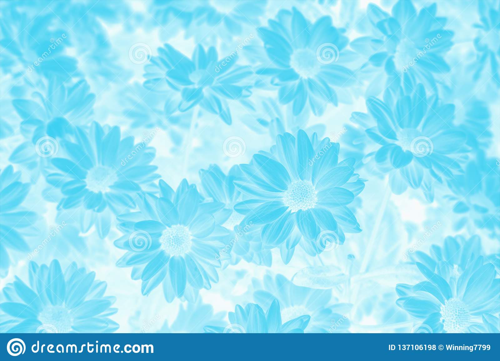 Detail Background Floral Blue Nomer 16