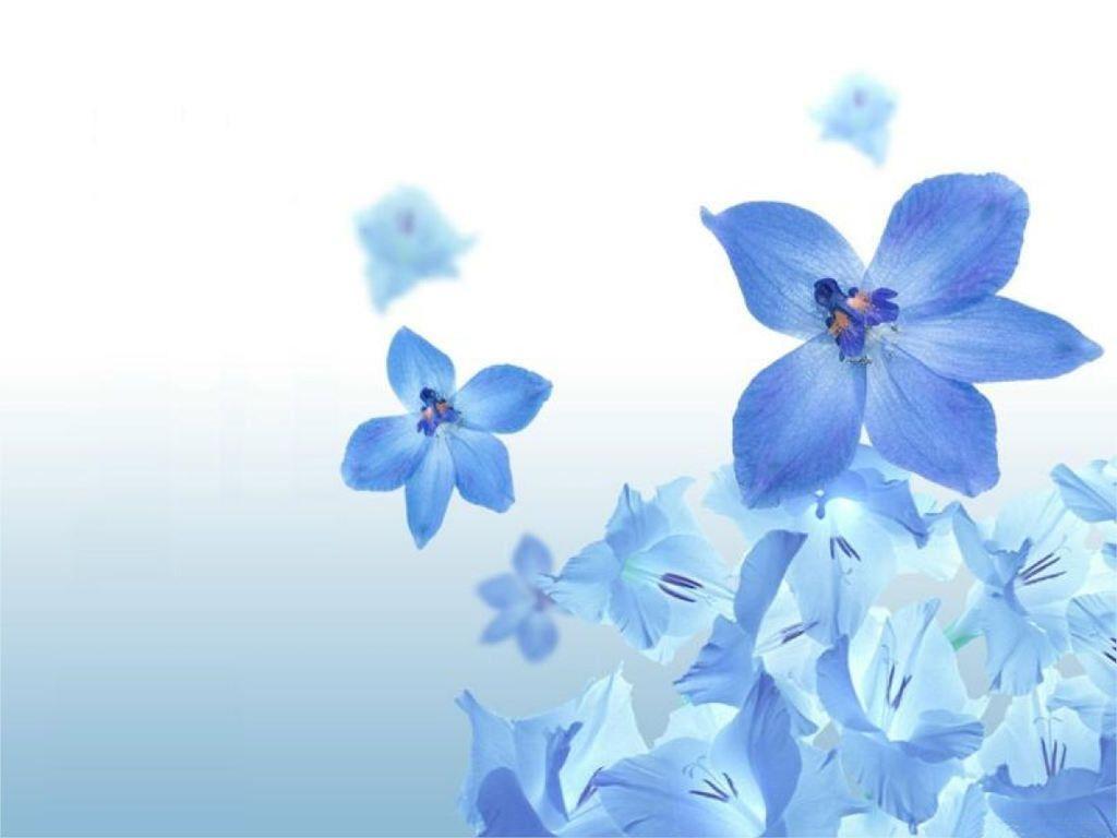 Detail Background Floral Blue Nomer 38