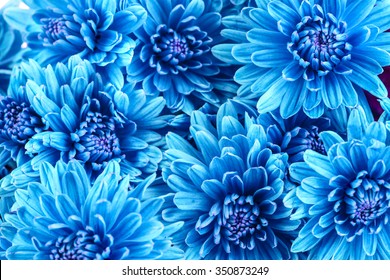 Detail Background Floral Blue Nomer 40