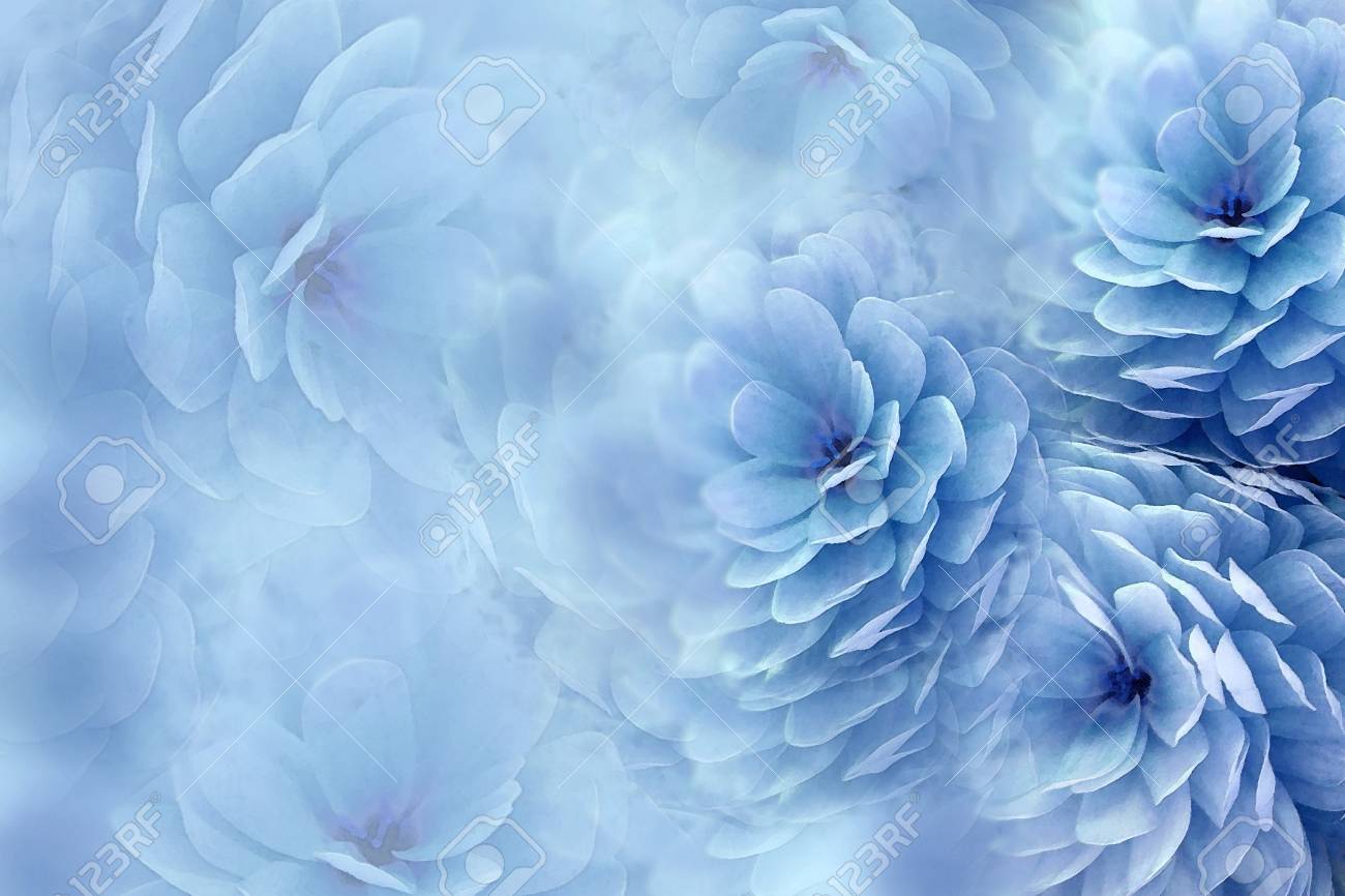 Detail Background Floral Blue Nomer 8