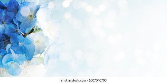 Detail Background Floral Blue Nomer 9