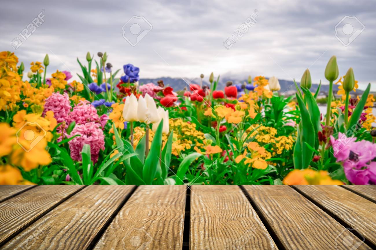 Detail Background Flower Garden Nomer 15