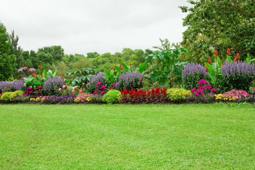 Detail Background Flower Garden Nomer 9