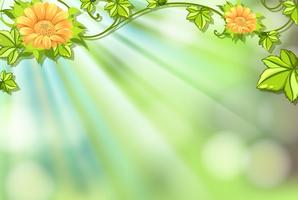 Download Background Flower Green Nomer 13