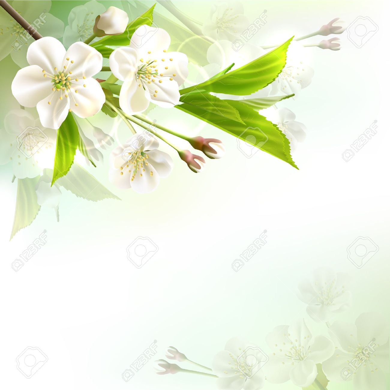 Download Background Flower Green Nomer 25