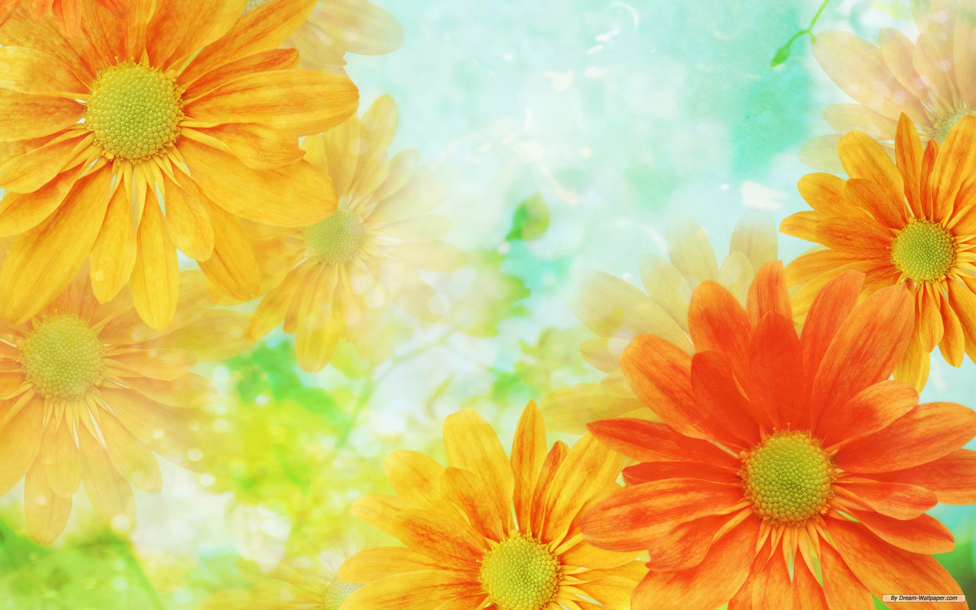 Detail Background Flower Hd Nomer 42