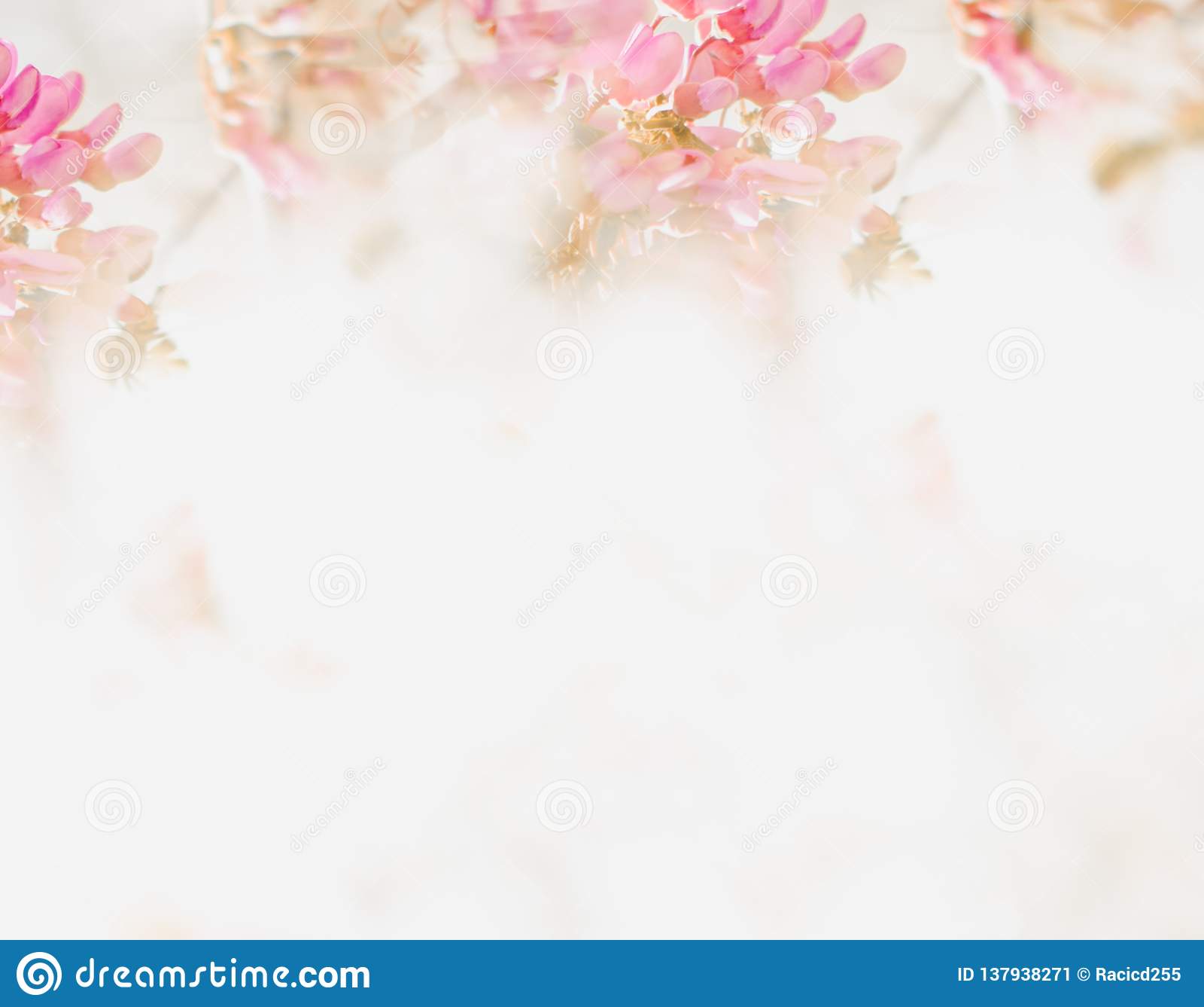 Detail Background Flower Pastel Nomer 12