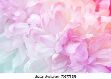 Detail Background Flower Pastel Nomer 21