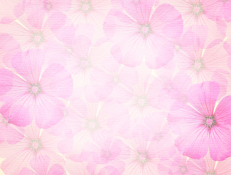 Detail Background Flower Pink Nomer 55