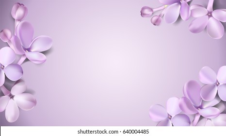 Detail Background Flower Purple Nomer 3