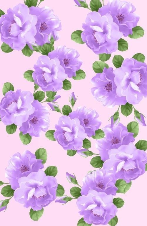 Detail Background Flower Purple Nomer 49