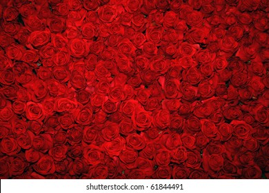 Download Background Flower Red Nomer 2