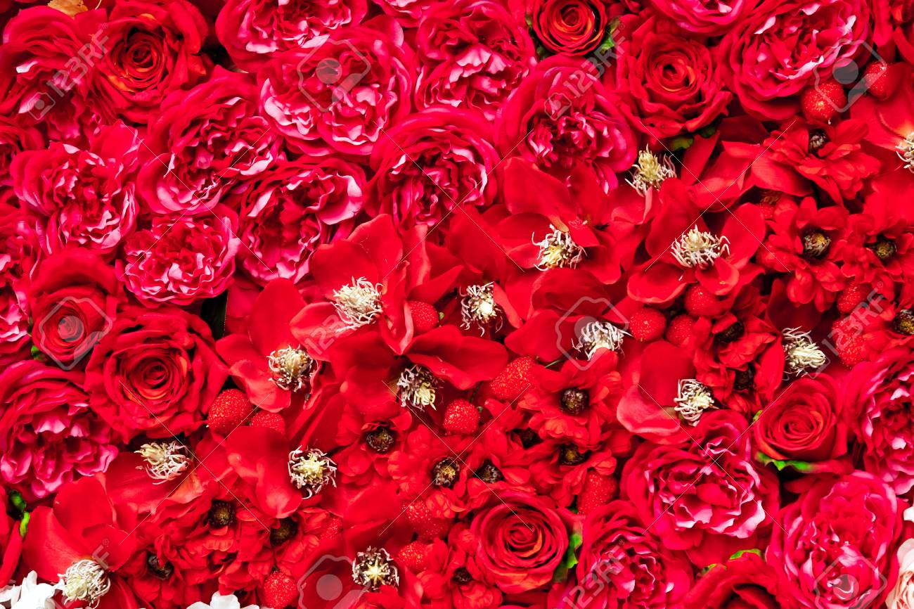 Detail Background Flower Red Nomer 14