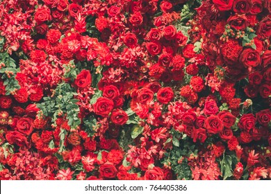 Download Background Flower Red Nomer 25