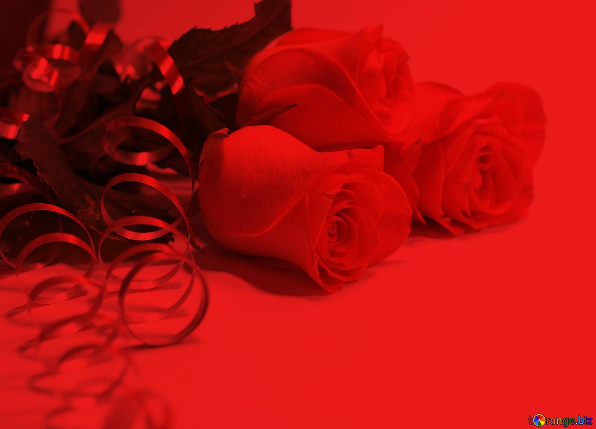 Download Background Flower Red Nomer 33