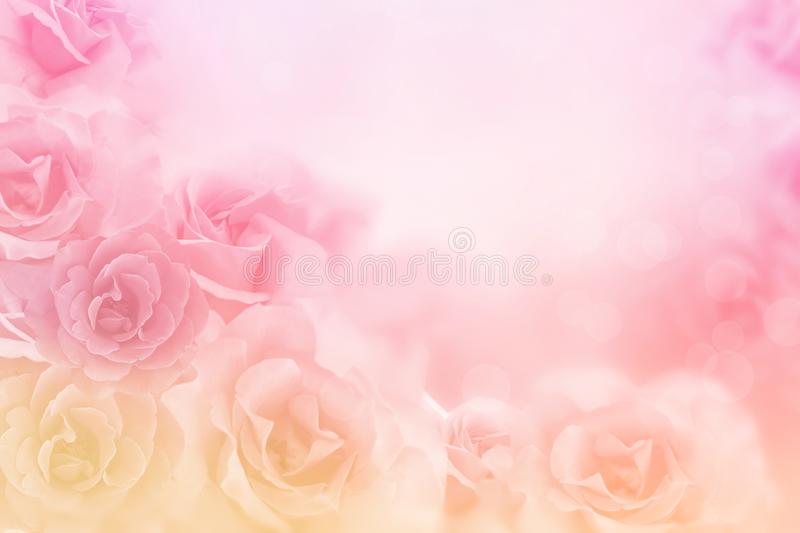 Detail Background Flower Rose Nomer 4